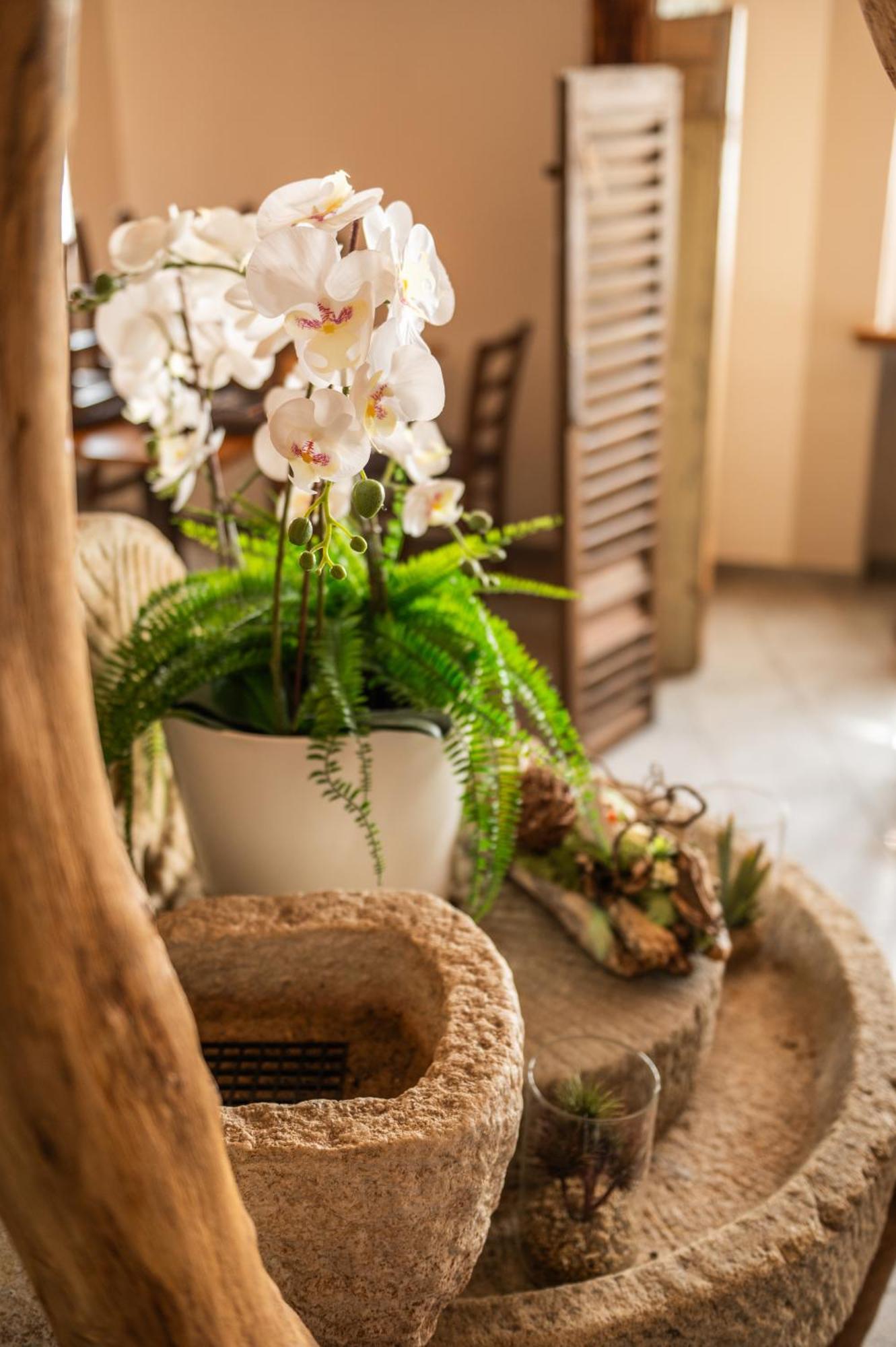 Locanda Poncini Maggia Buitenkant foto
